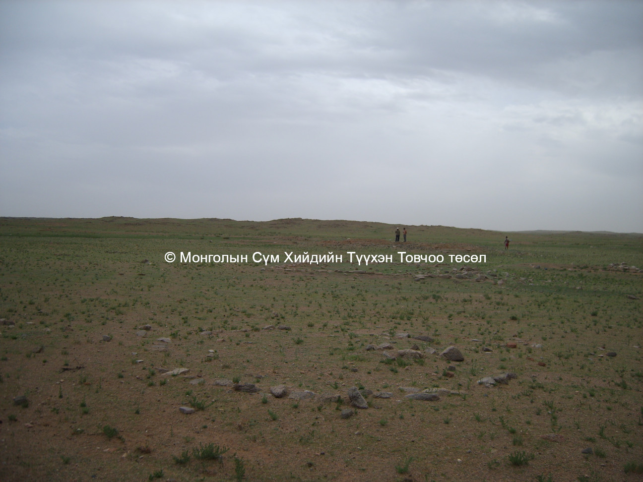 Баруун талаас авсан